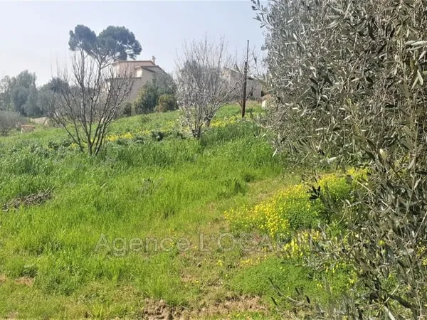 Vente terrain