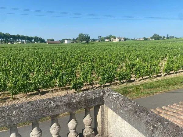 Opportunité unique à Pomerol : un ensemble immobilier rare