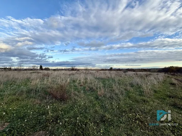 Terrain agricole 2895 m2
