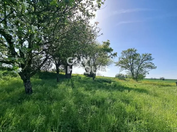 Terrain à bâtir Vente Saint-Saturnin-du-Bois  792m² 29000€