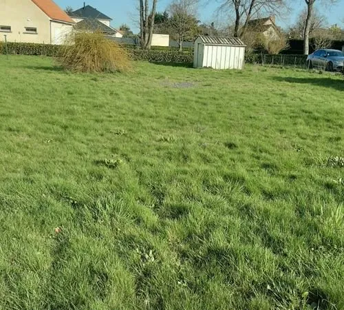 Terrain constructible
