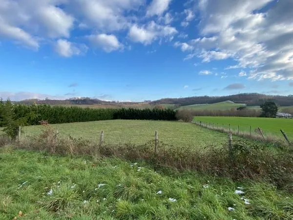 Terrain 6010 m²