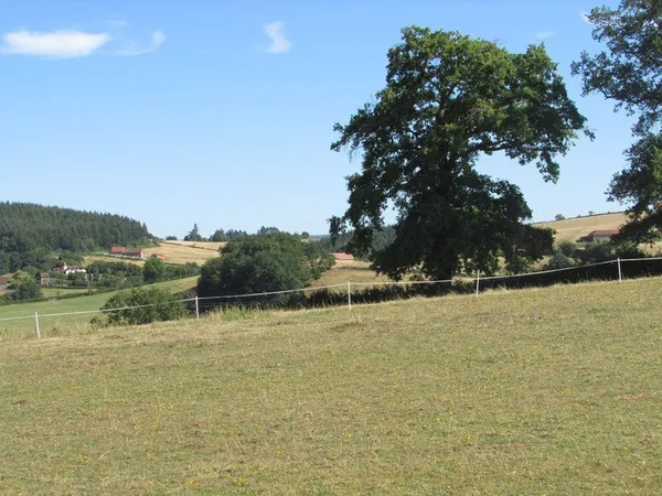 Terrain à vendre de 1,73 Ha LE ROUSSET-MARIZY (71)