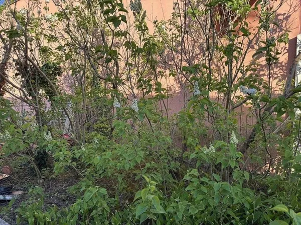 Maison 3 pièces 50 m²