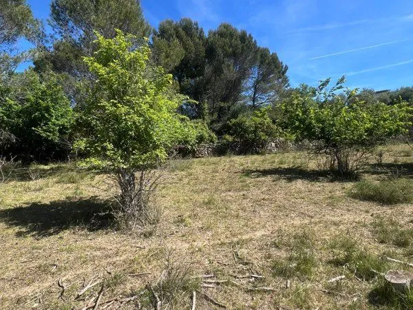 Terrain agricole