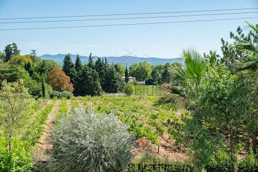 Maison 6 pièces 240 m²