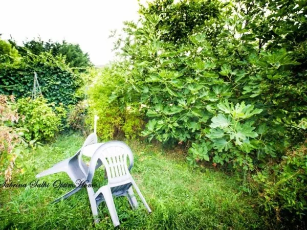Maison de village avec jardin et potentiel _ QUINCIE EN BEAUJOLAIS (69)
