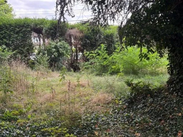 Terrain 255 m²