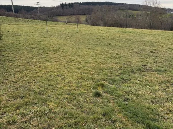 Terrain 1799 m² Blot-l'Église