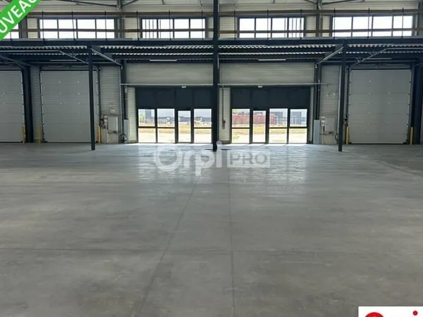 Local d'activité 736 m²