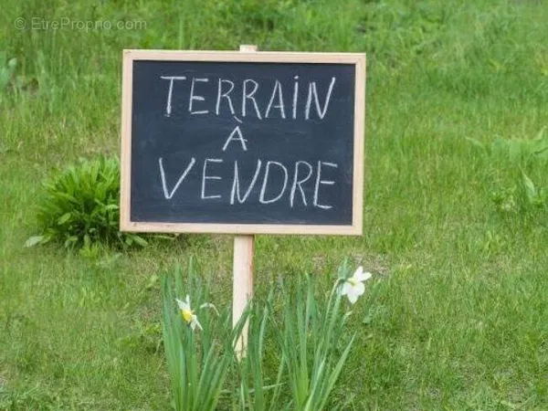 Terrain 300 m²