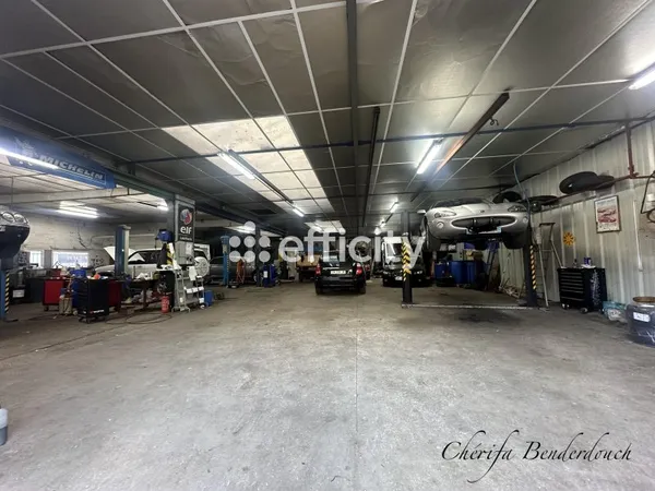 Fonds de commerce 595 m²