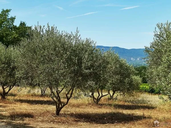Achat : Local commercial Villelaure (84530)