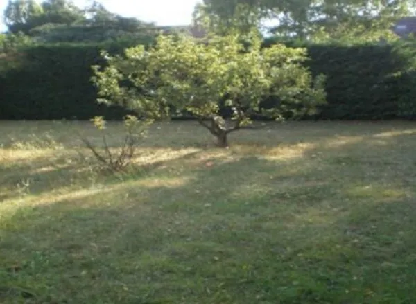 Terrain 295 m²