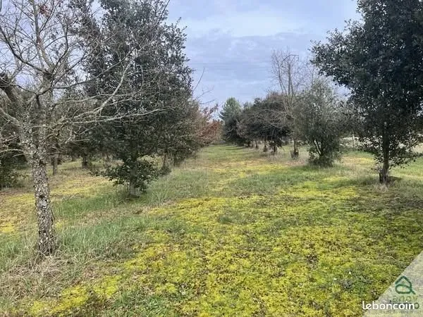 Terrain 9656 m² Aussac-Vadalle