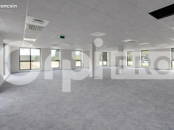 Bureau 439 m²