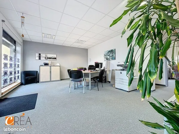 Local 80 m² Wittelsheim