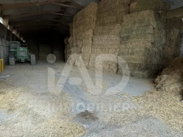 Local 1 pièce 595 m²