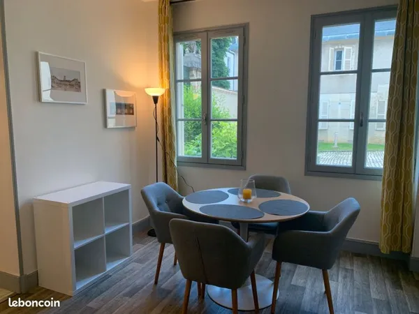 Vends très beau T2 entièrement meublé dans hôtel particulier plein centre avec place de stationnemen
