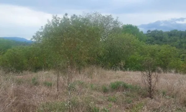 Terrain 473 m²