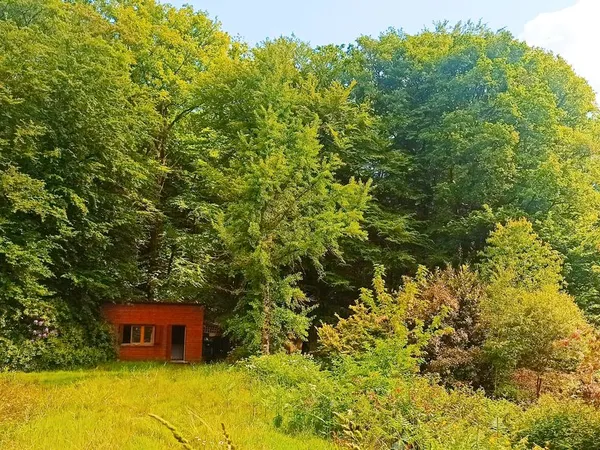 Location Chalet, etang et forêt : domaine nature de 6ha