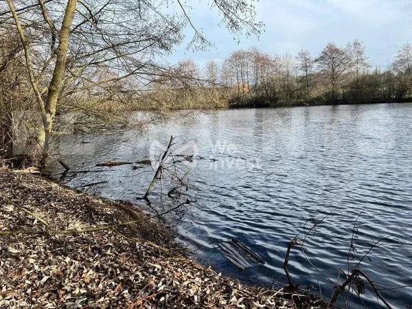 Terrain 11640 m²