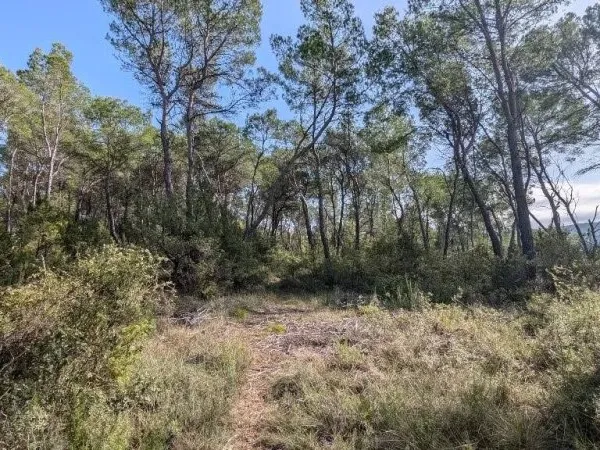 Terrain 23790 m²