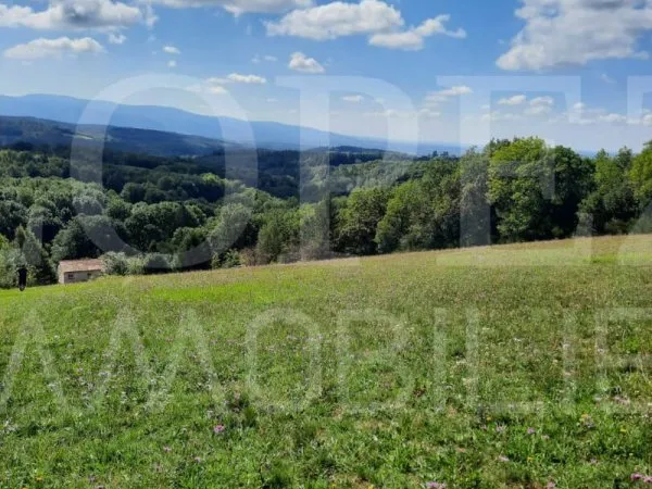 Terrain agricole