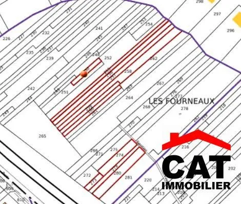 Terrain 2981 m²