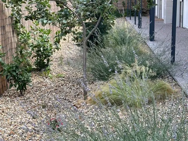 Locaux Meublés de 25 m²