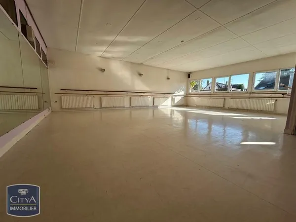 Local professionnel 1 pièce 105 m²