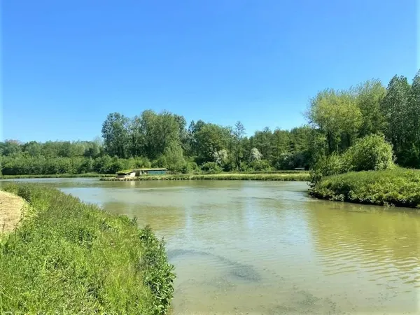 ETANG AVEC SOURCES, PARTIES BOISEES, HUTTE, PECHE ET CHASSE