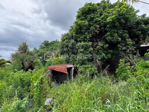 Grand terrain constructible Grand Fond Saint-Leu