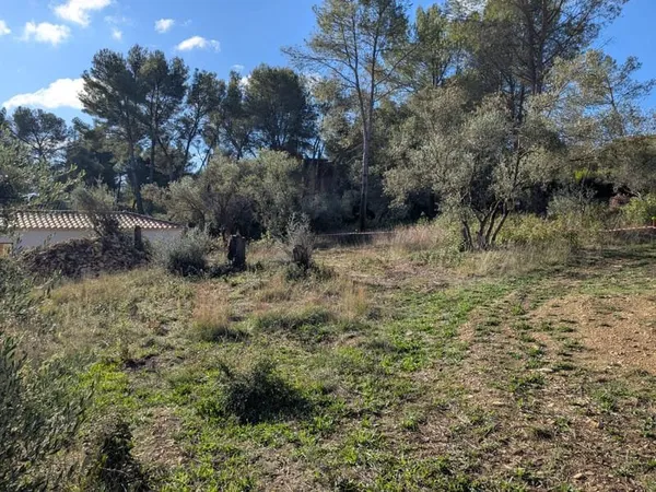 Beau terrain constructible de 701m2 en pinède