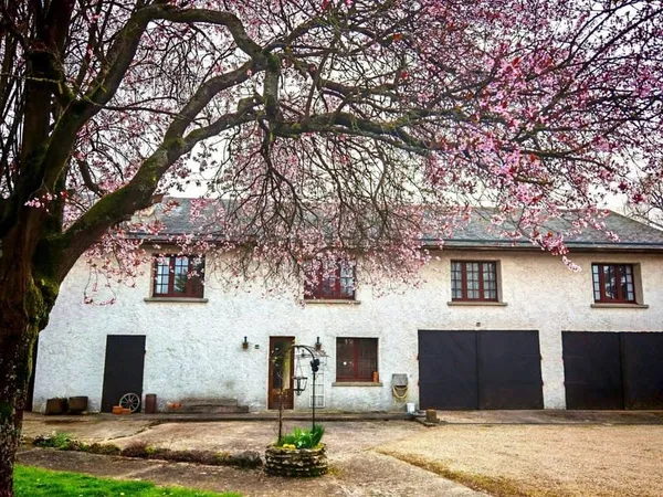 Maison 8 pièces 205 m²