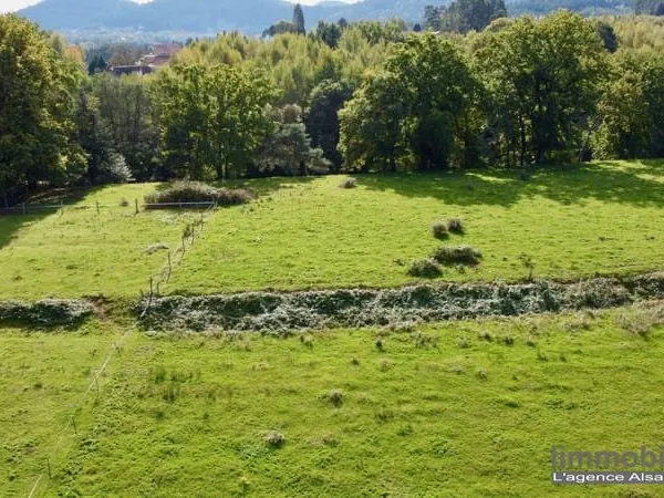 Terrain Vente Taintrux   18500€