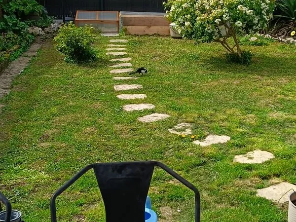Maison en colocation meublée avec jardin - rentrée septembre