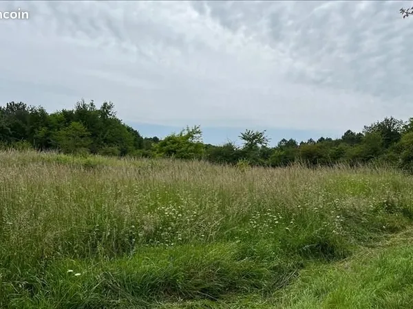Terrain 503 m² Cissac Medoc