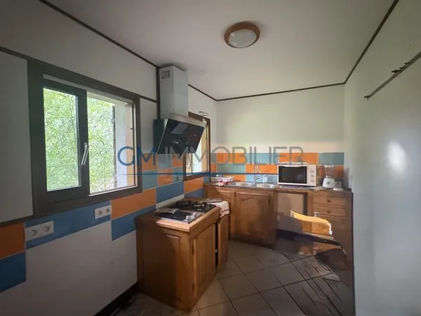 Maison 7 pièces à vendre Grand terrain arboré et divisible