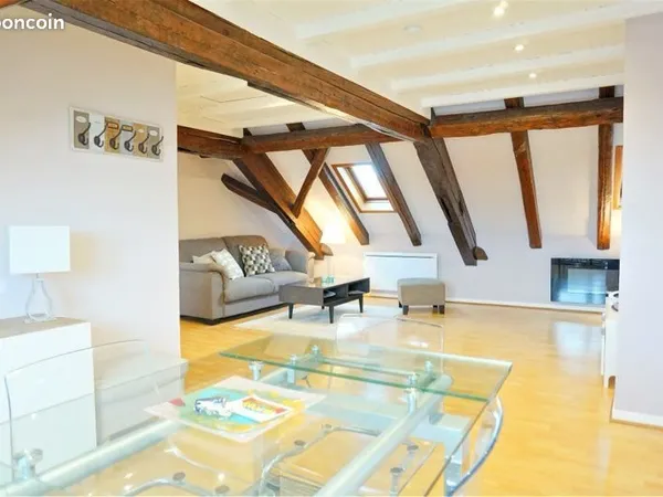 Appartement 3/4 pièces 89m² au sol, 65m² carrez - Centre historique