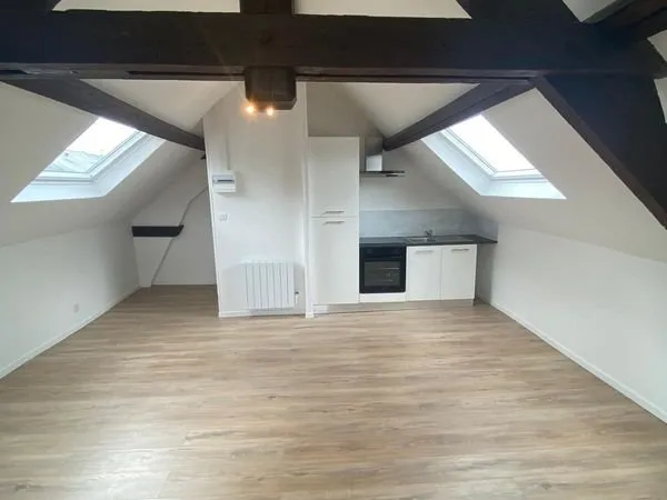Grand Appartement studio entièrement rénové de 38m2 au sol avec cuisine équipée - situé en hyper Cen