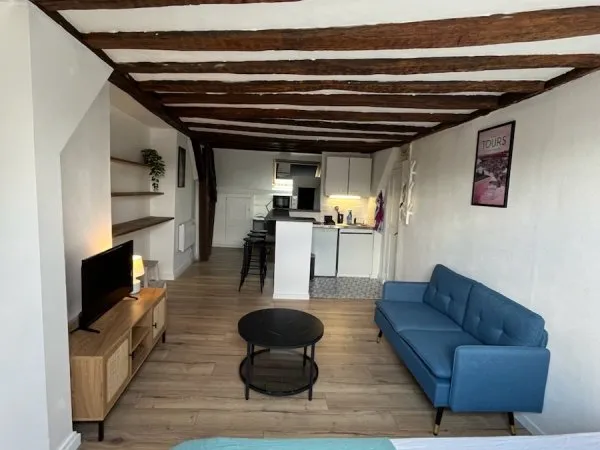 Loue studio meuble équipé 25m² rue de scellerie Tours centre - 1 chambre