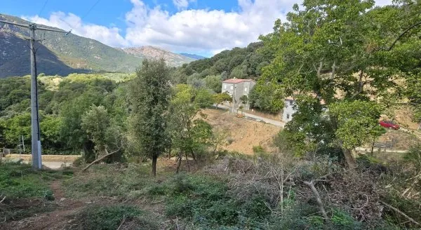 A SAISIR TERRAIN CONSTRUCTIBLE - OLMICCIA