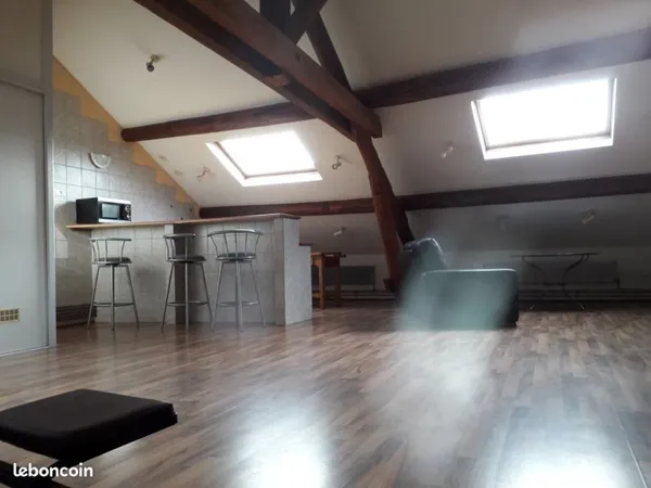 Appartement 1 pièce 55 m²