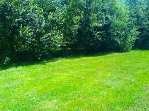 Terrain 350 m²