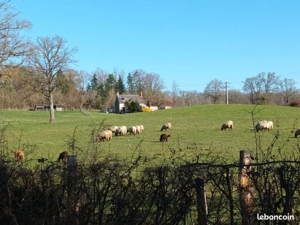 Maison + 4,3 ha