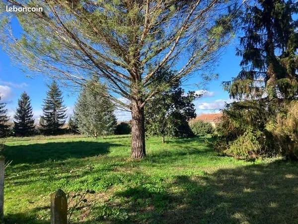 Terrain 623m2 à Viterbe