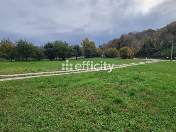Terrain 6000 m²