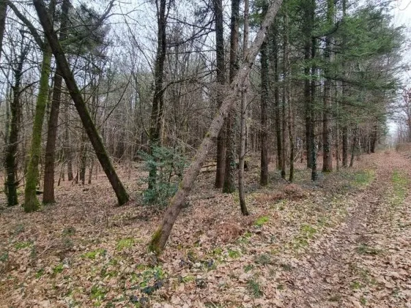 18 hectares d'un seul tenant