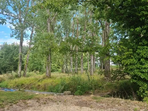 Terrain 60a